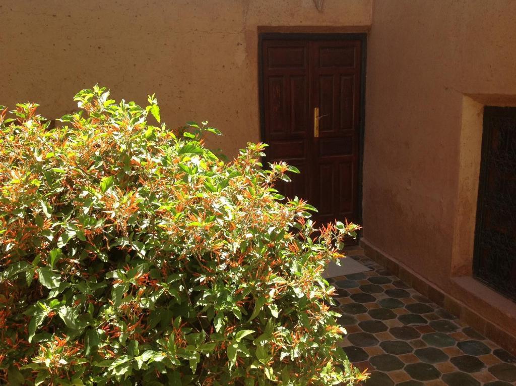 Riad Timadrouine Timatraouine Номер фото